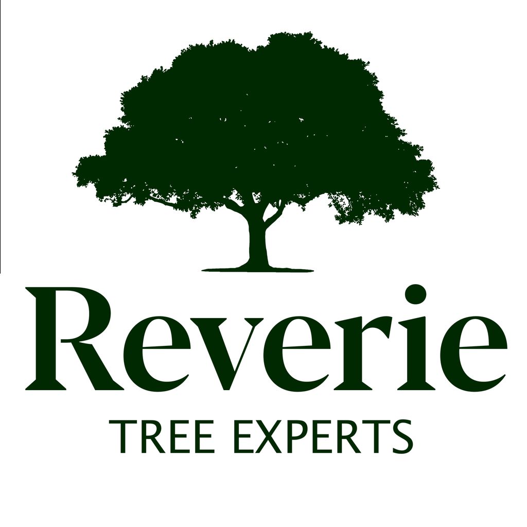 Reverie Tree Experts, Inc.