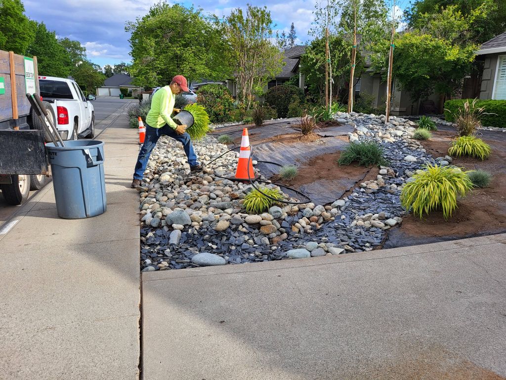 Dry Creek Bed and Planting 