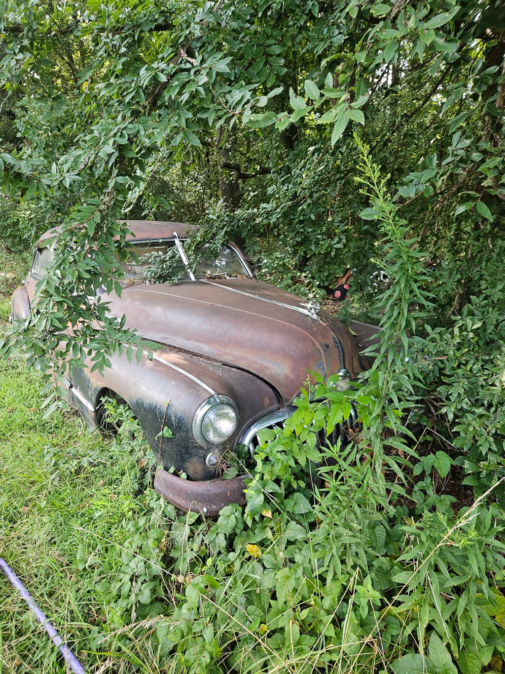 i might keep this one