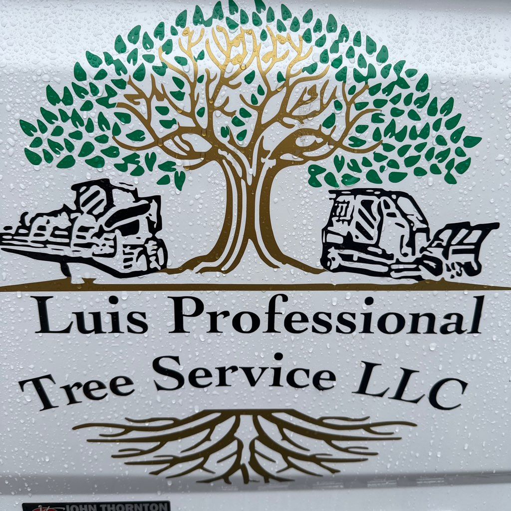 Luis professional tree service LLc