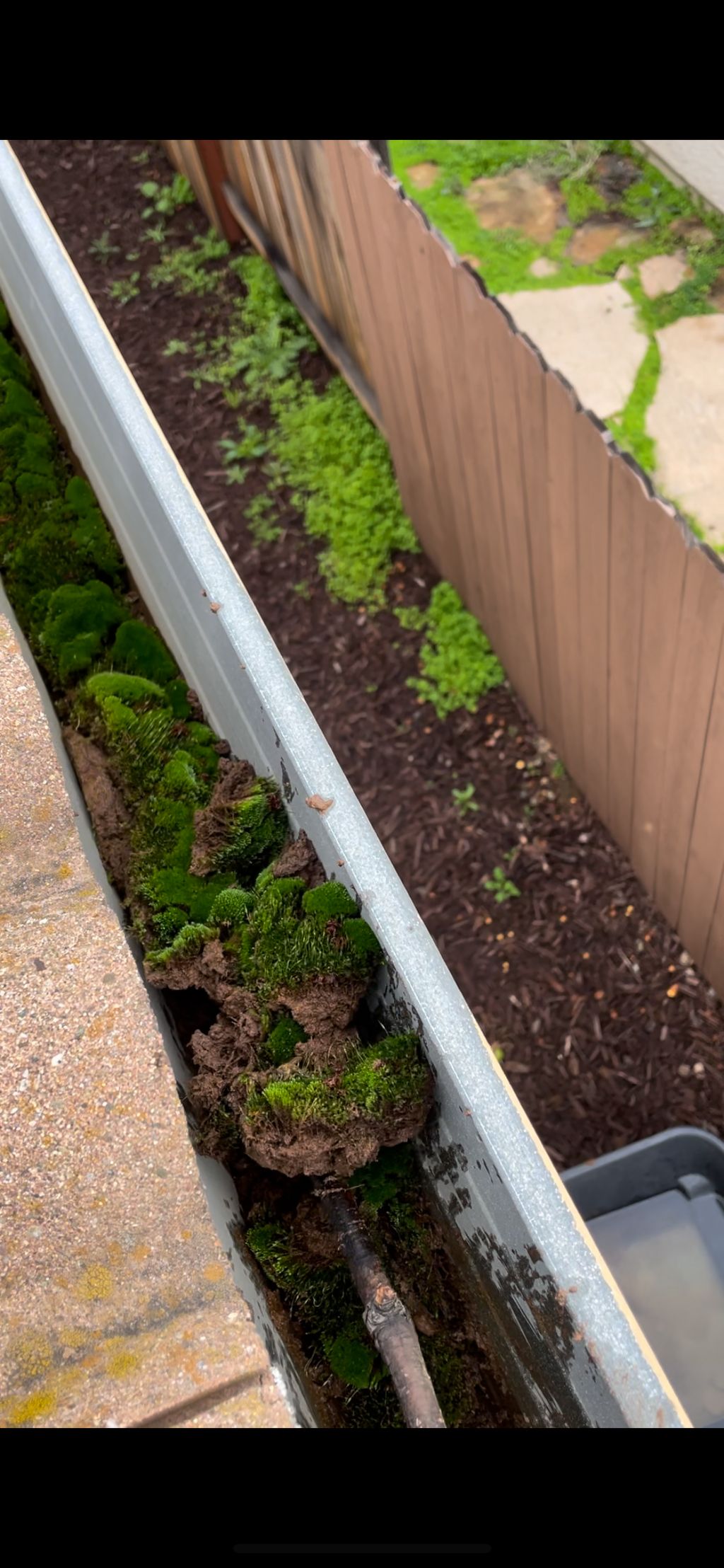 Gutter Cleaning and Maintenance