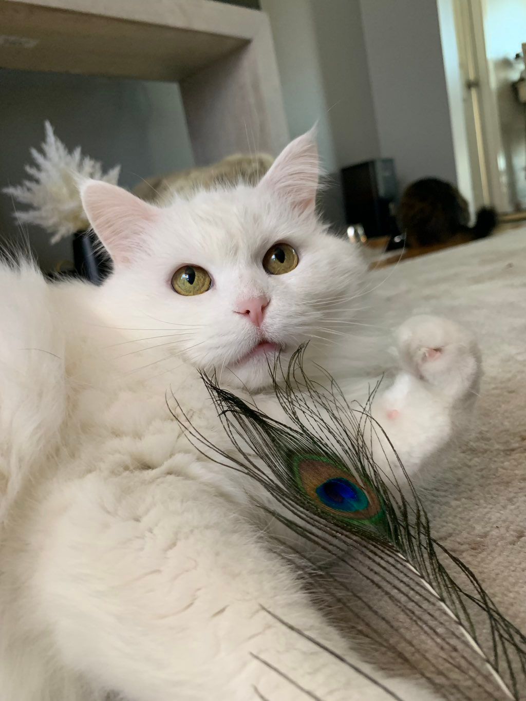 Rosie
