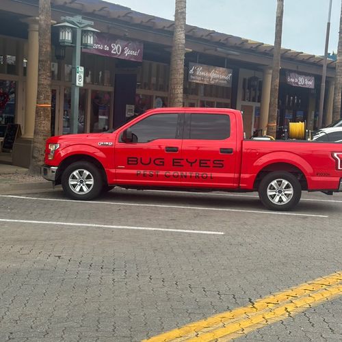 BugEyes pest control
