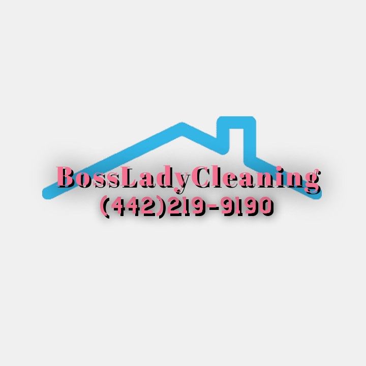 Boss Lady Cleaners