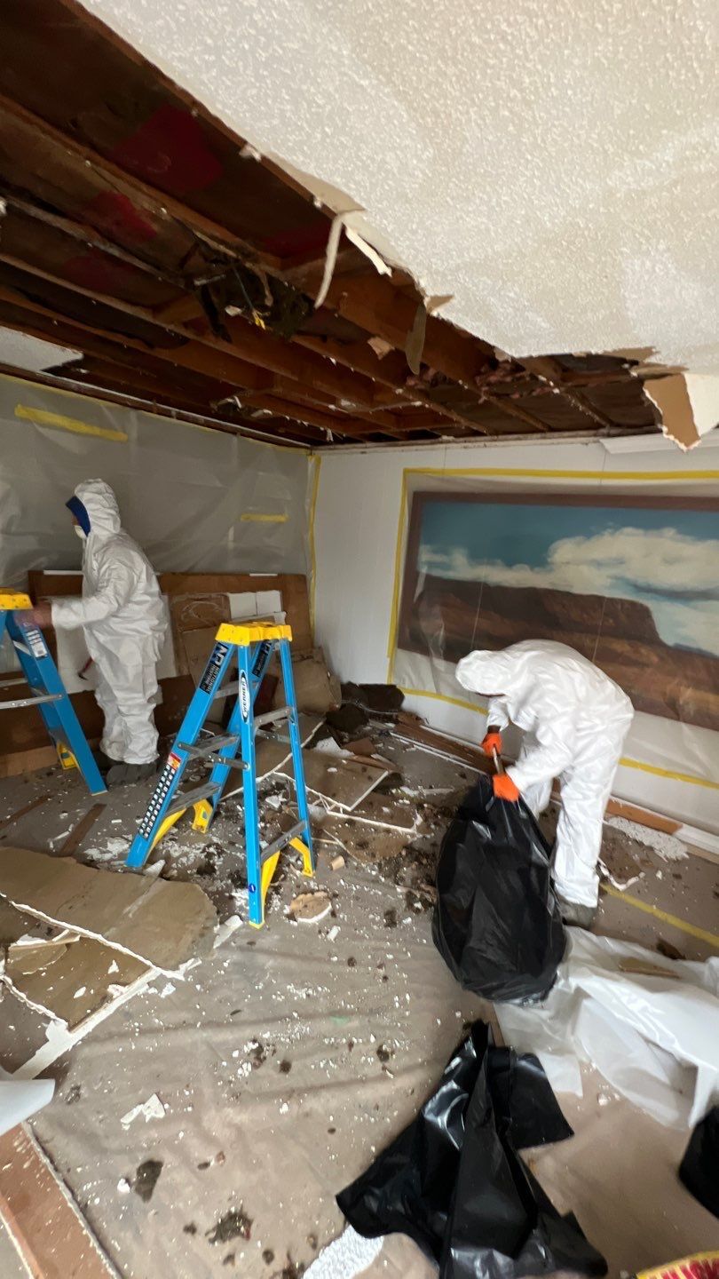 Mold Inspection and Removal