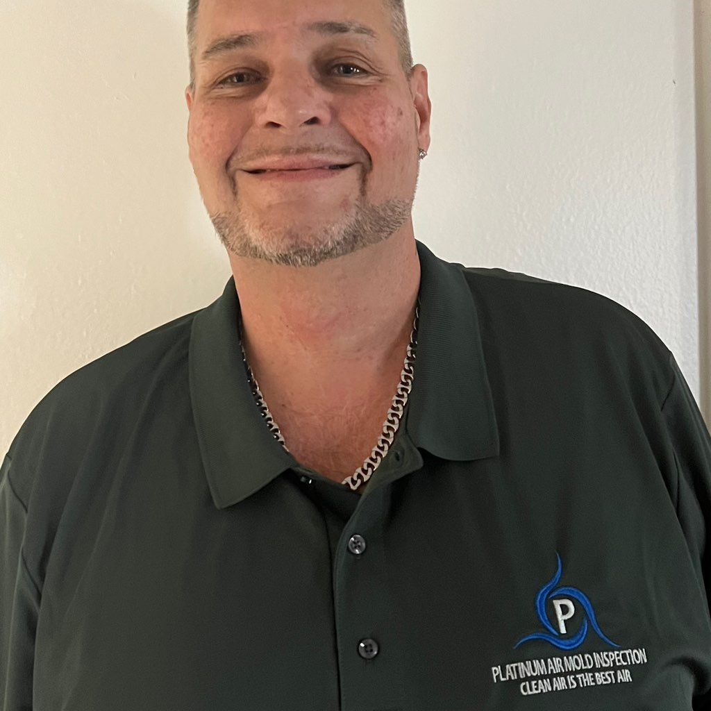Platinum Air Mold Inspections LLC