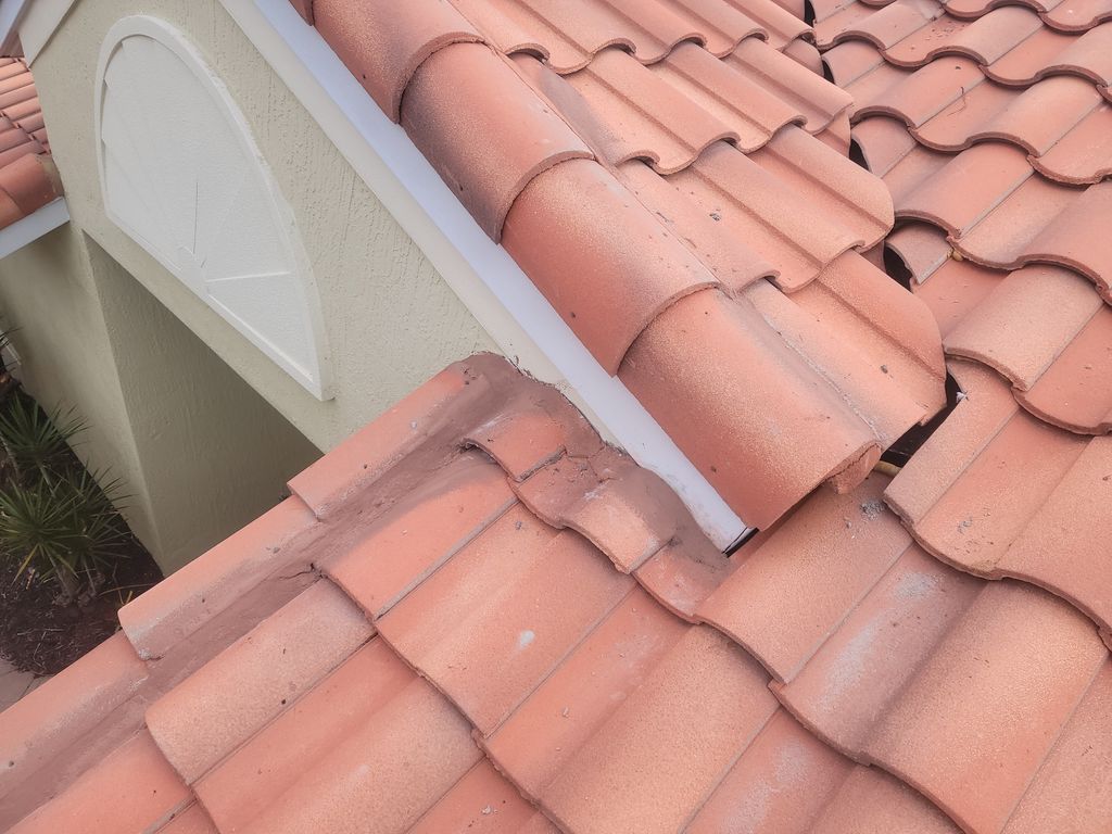 Roof Repair or Maintenance