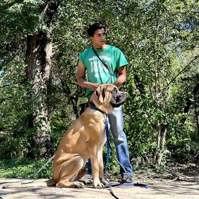 Avatar for Sahir The Dog Trainer