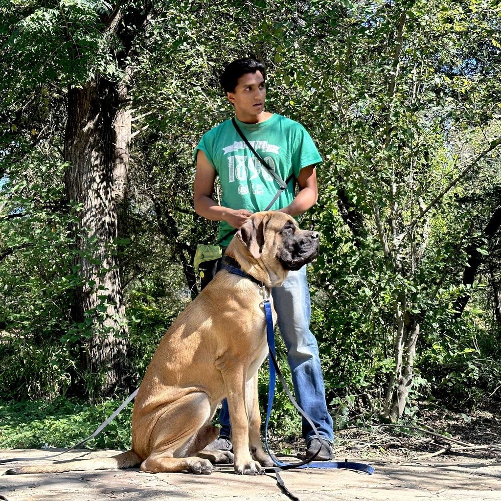 Sahir The Dog Trainer
