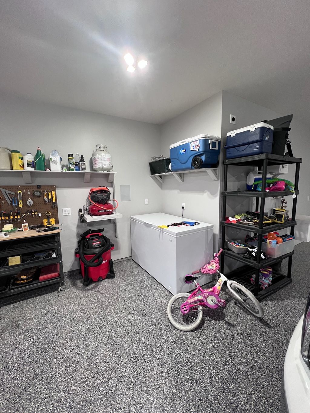 Garage - Painting & Shelving