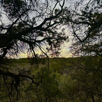 Avatar for AK Living