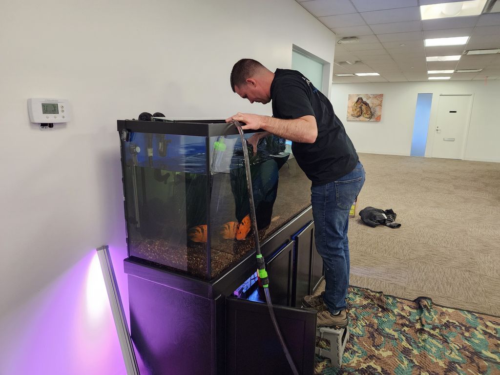 Aquarium Services