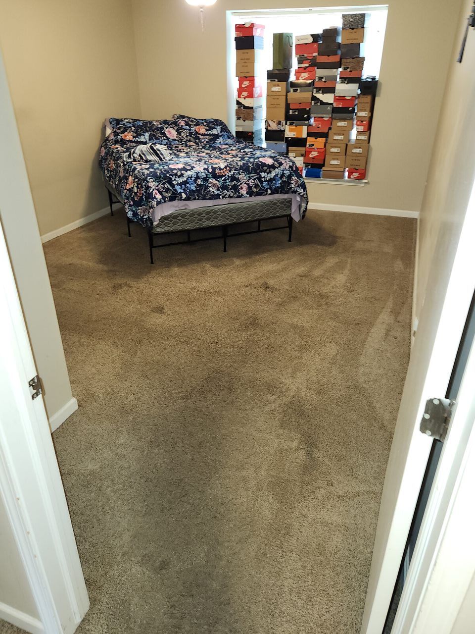 Carpet Cleaning