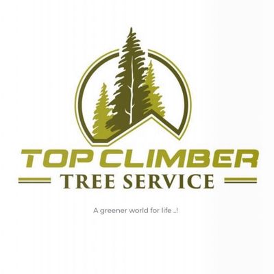 Avatar for Top Climber Tree Service Corp