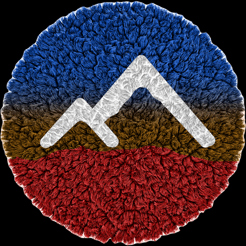 Carpet NV