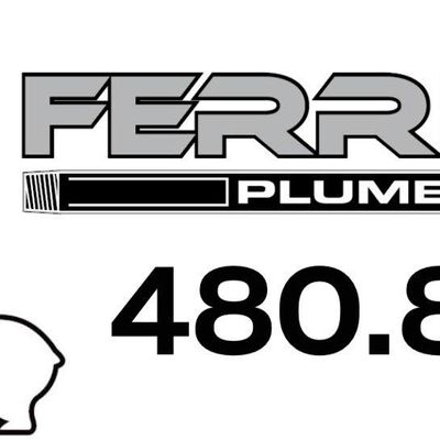 Avatar for Ferrin RYCO Plumbing and Air