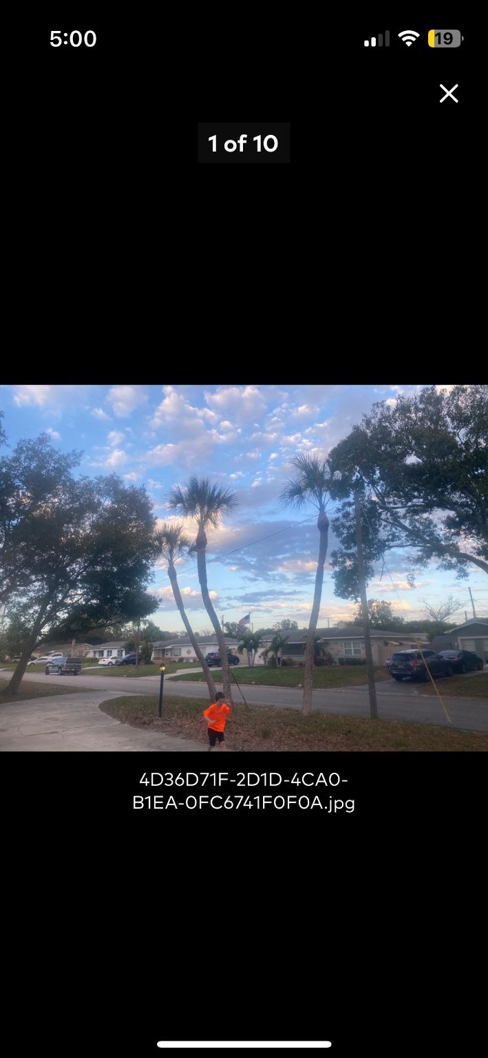 Customer photos