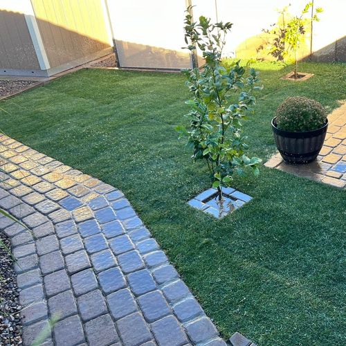 Mario's Landscaping Profile Picture