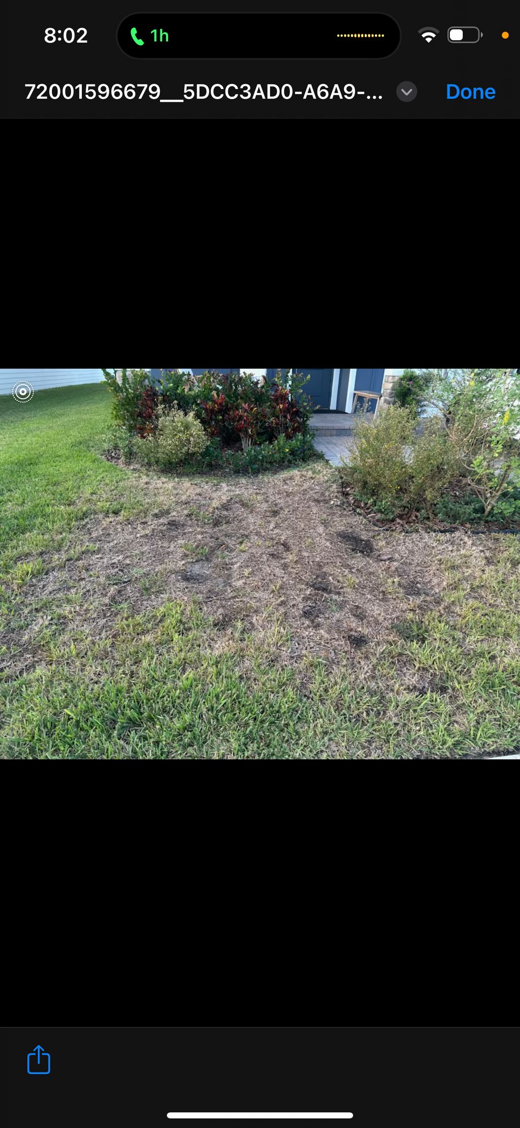 Full Service Lawn Care