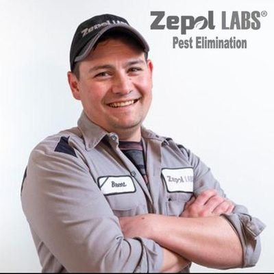 Avatar for Zepol Labs
