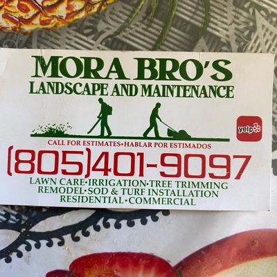 Avatar for Super Mora Bros Landscape and Maintenance