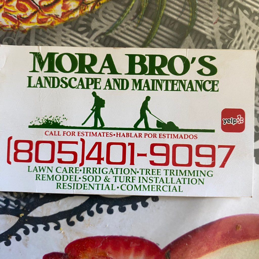 Super Mora Bros Landscape and Maintenance