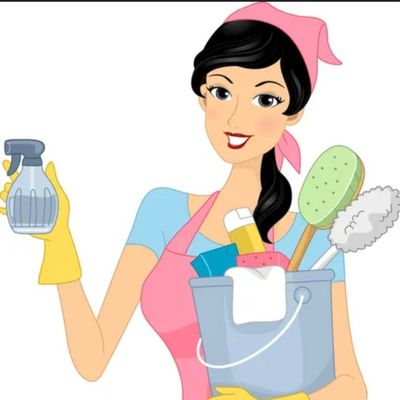 Avatar for Stella's Tip Top Cleaning services