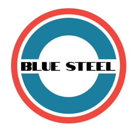 Blue Steel Services, LLC