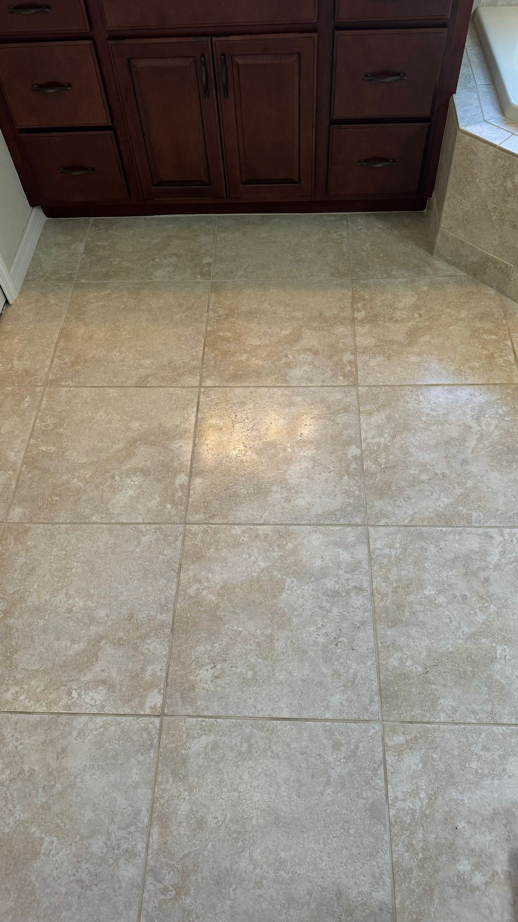 Tile and Grout Cleaning