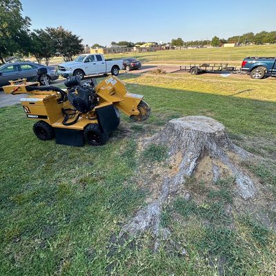 Avatar for JR STUMP GRINDING