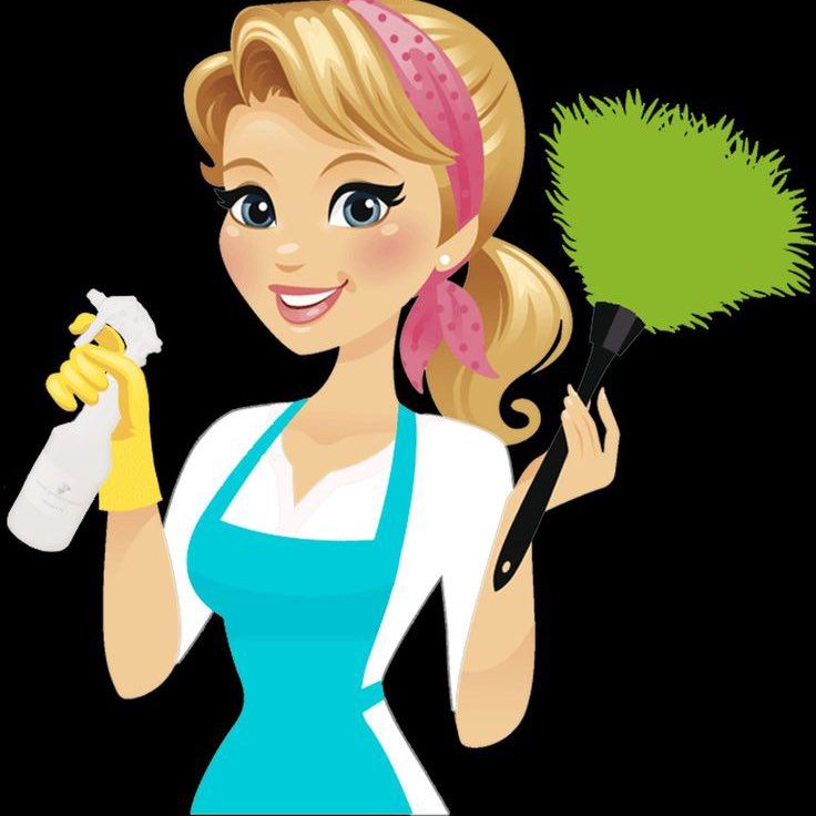 Eco   house cleaning services
