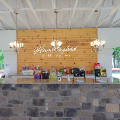 Avatar for AMT Exclusive