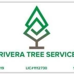 Avatar for Rivera Tree Service Inc.