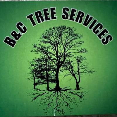 Avatar for BC Tree and landscape services