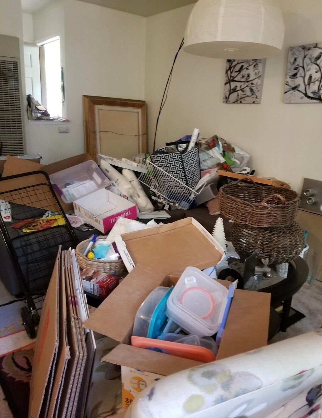 Residential clean out 