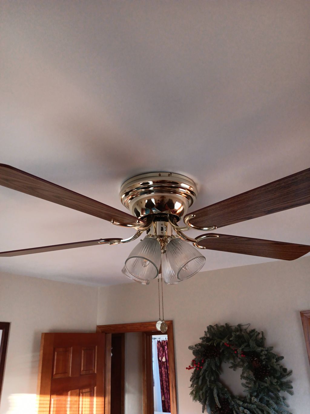 Ceiling fan