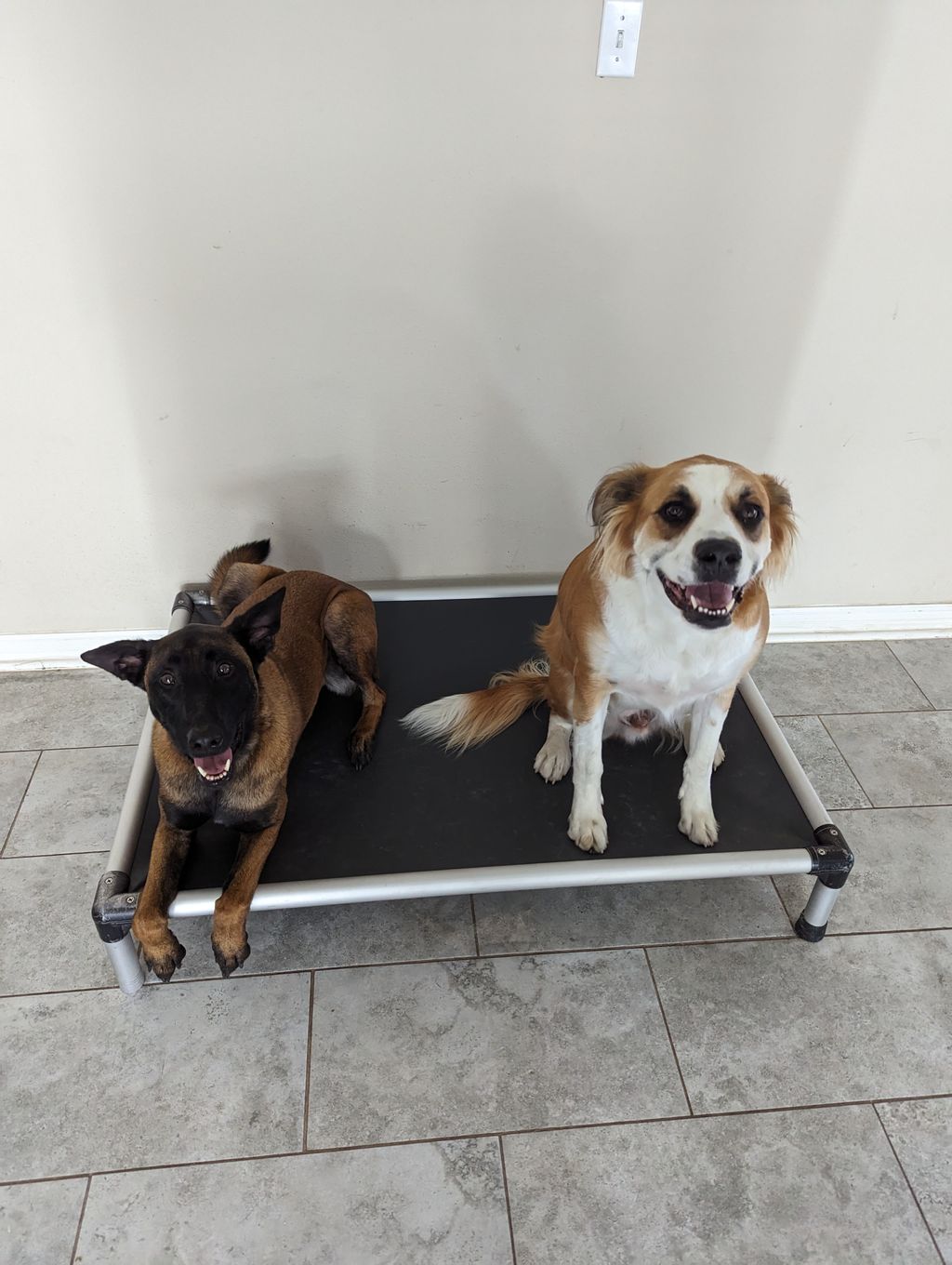 Ragnar helping Morty learn the post command.