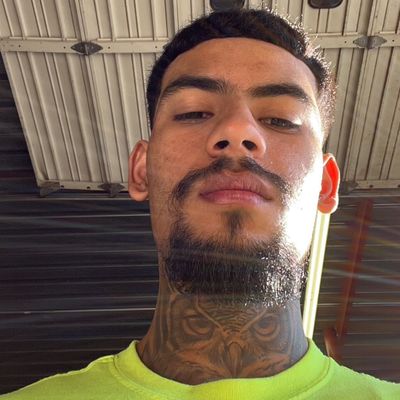 Avatar for Chris’s structural repairs
