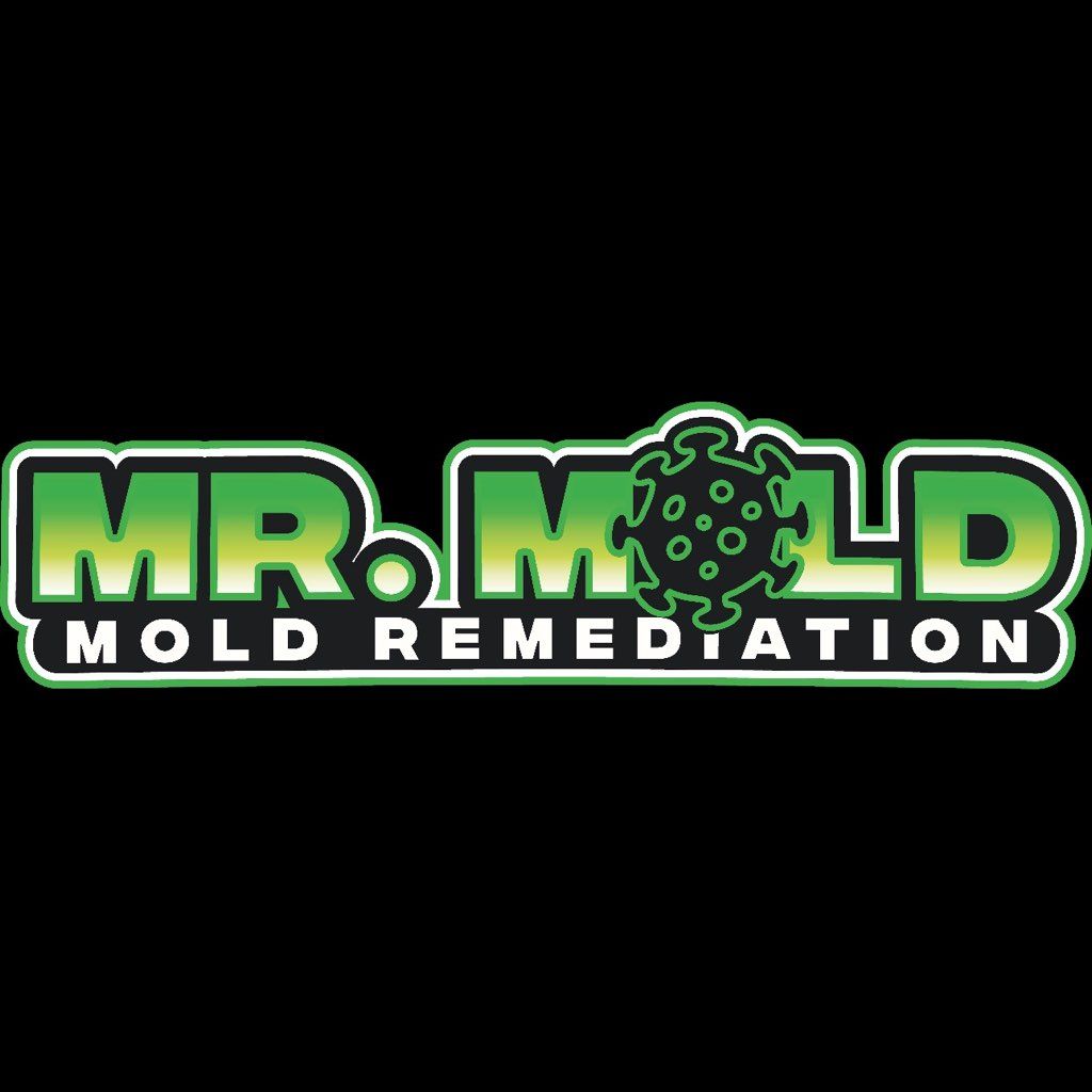 Mr. Mold