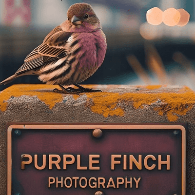 Avatar for Purple Finch Photography