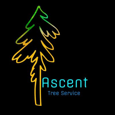 Avatar for Ascent Tree Service