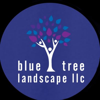 Avatar for Blue tree landscape pro