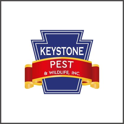 Avatar for Keystone Pest & Wildlife Inc.