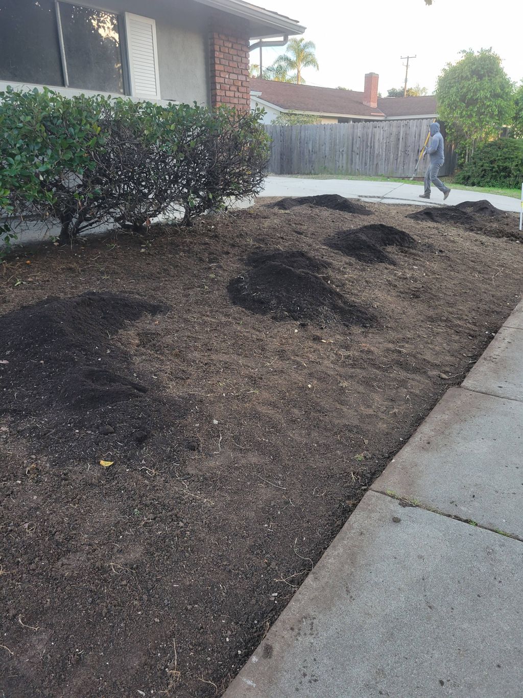 preparing and put  in soil to mix  it 