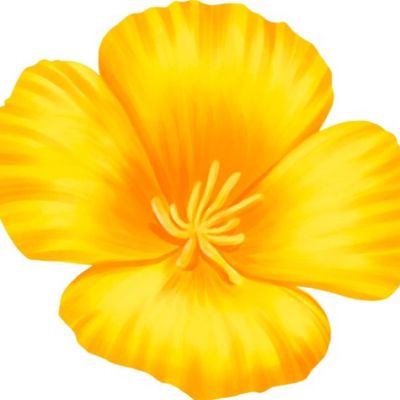 Avatar for Poppy House Cleaning⭐️⭐️⭐️⭐️⭐️