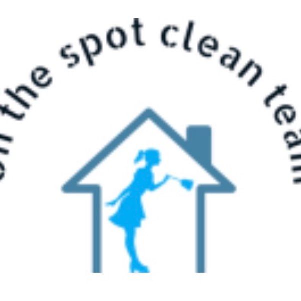 On the spot clean team Llc