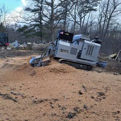 Avatar for Grind Time Stump Removal, LLC