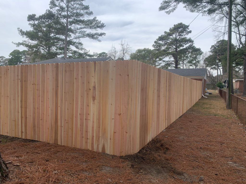 Cedar