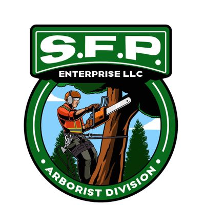 Avatar for S.F.P. Enterprise LLC