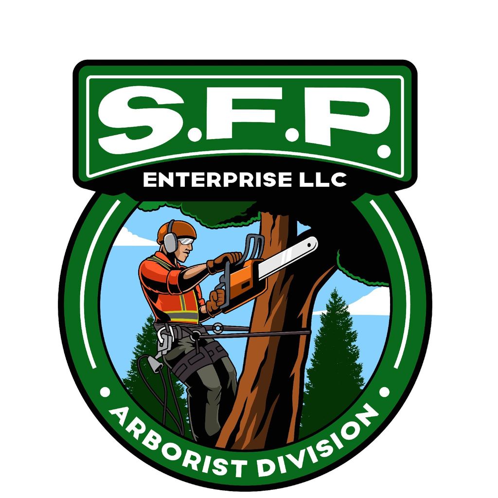 S.F.P. Enterprise LLC